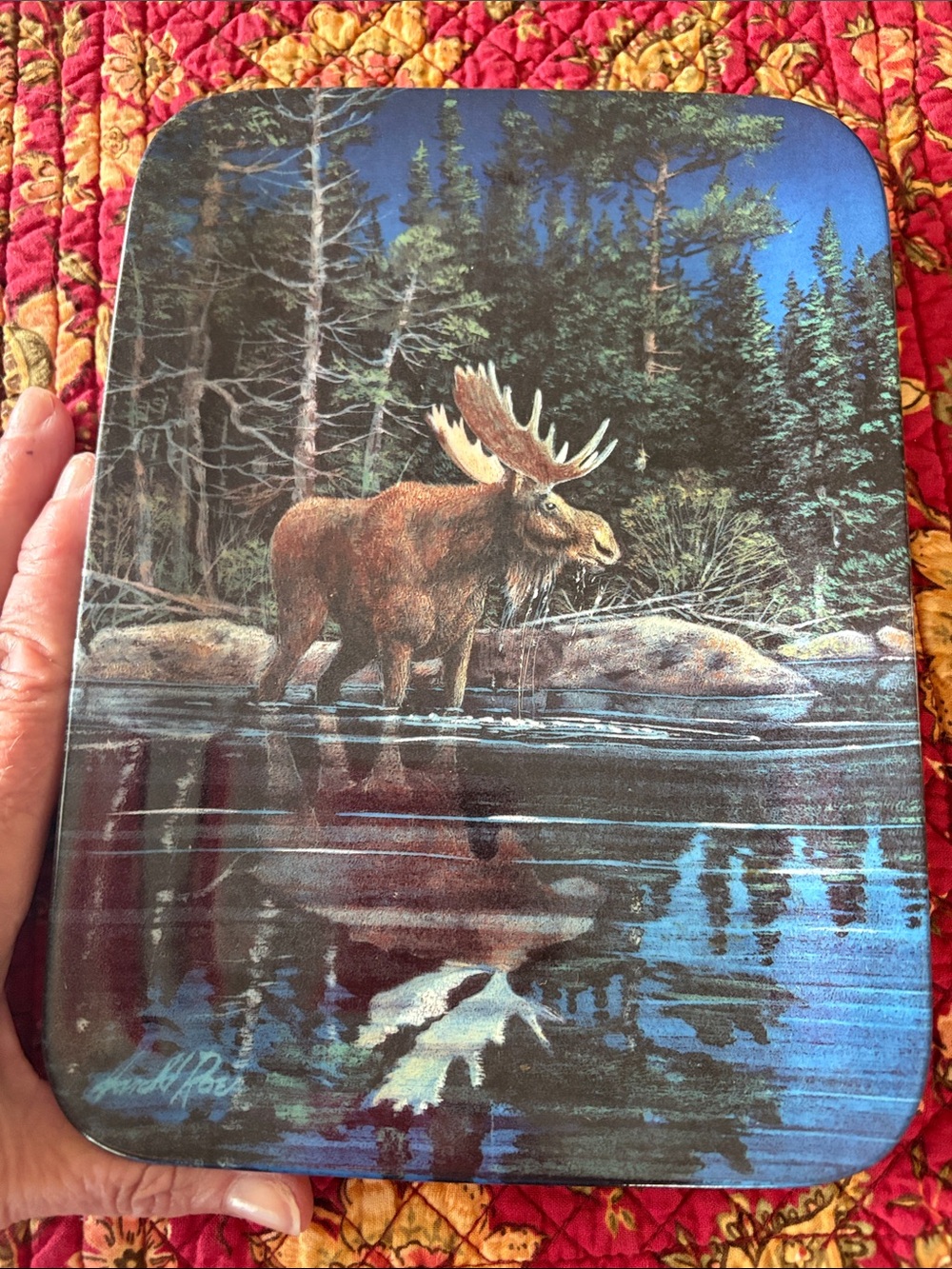 Moose Lake Scene Decorative Tin - Brown Moose, Blue Water